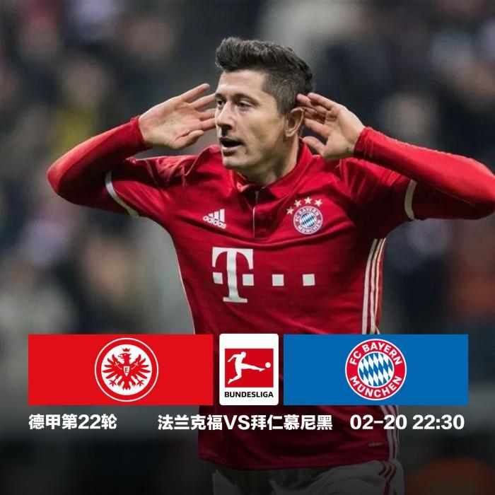 关于德甲冠军一路高歌猛进，实力无可匹敌的信息