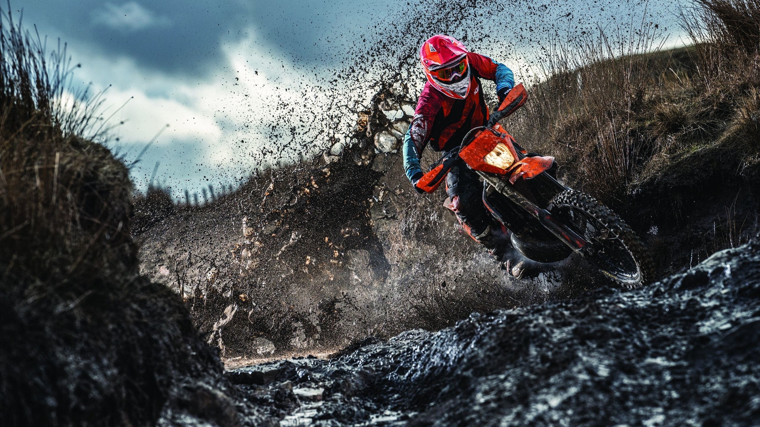 戈贝尔硬仗之王本色尽显，国王力克辽宁的防守启示录