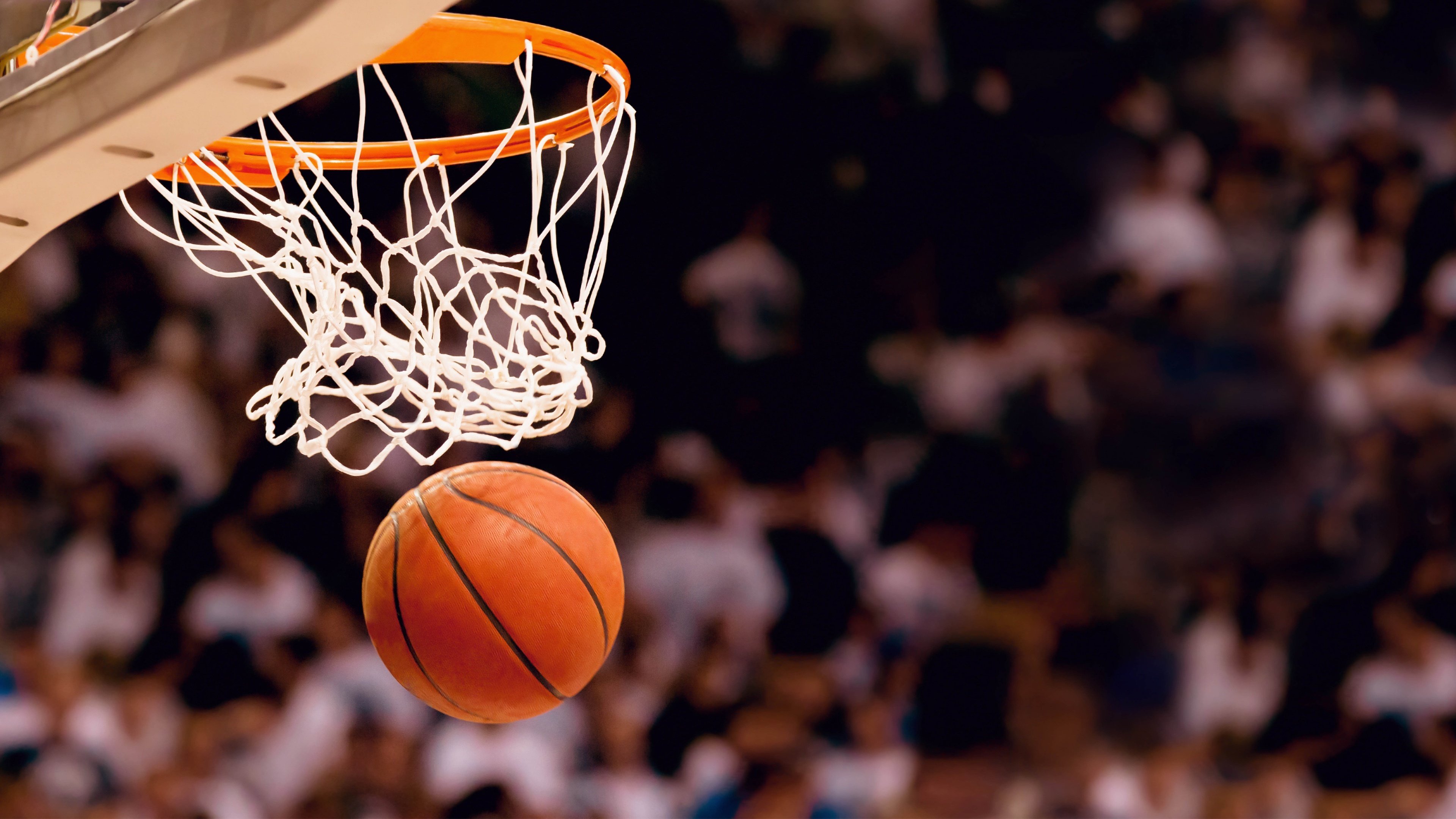单场51分,射落雄鹿,哈利伯顿用唯一之夜证明了NBA杯的残酷与浪漫
